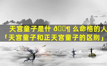 天宫童子是什 🐶 么命格的人「天宫童子和正天宫童子的区别」